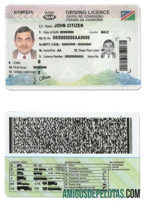 Carta de condução da Namíbia exemplo